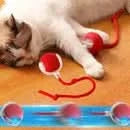 ZigZag Felino: Divertido, imprevisível e viciante
